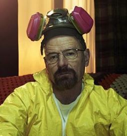 breaking bad beard costume