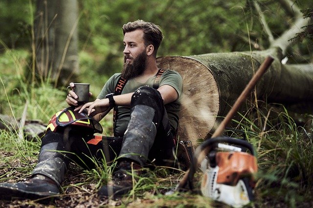 lumbersexual