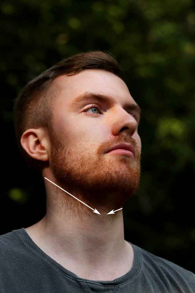 how to line up your neck beard