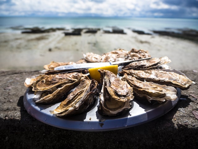 oysters on a plate ready to eat