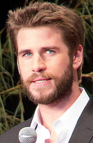 Liam Hemsworth with a beard