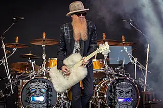 ZZ Top beards